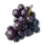 High-quality Grape