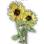 High-quality Sunflower