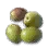 High-quality Olive