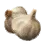 Special Garlic
